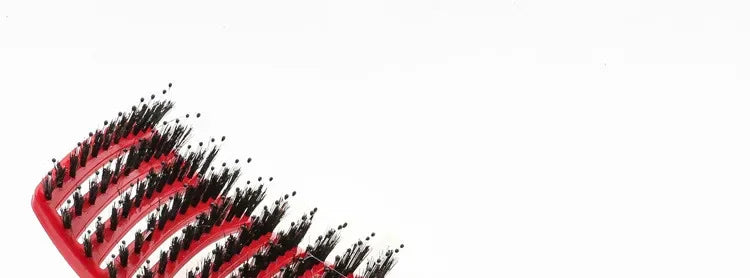 Detangling Hairbrush Scalp Massage Comb Bristle Nylon Women Magic Curly Hair Brush Salon Hairdressing Styling Tools Wholesale